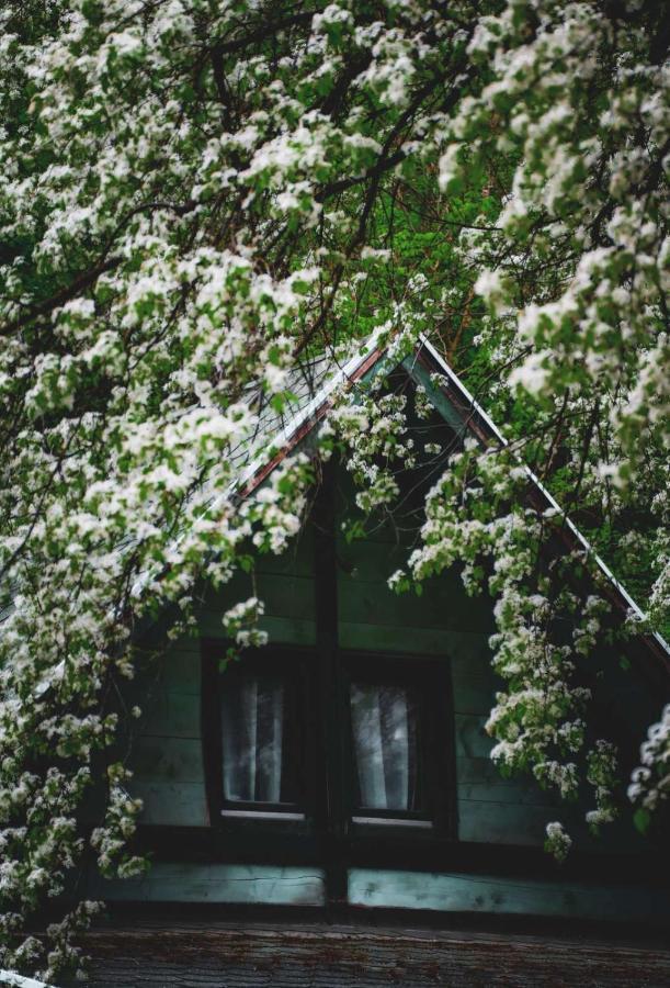 Vikendica,, Tadic,, Ovcar Banja Villa Buitenkant foto
