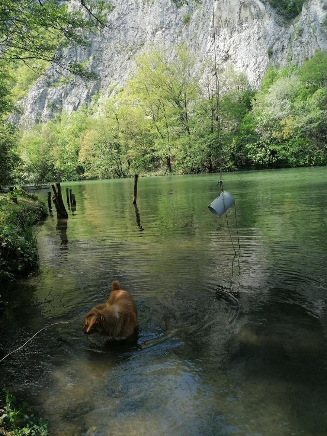 Vikendica,, Tadic,, Ovcar Banja Villa Buitenkant foto
