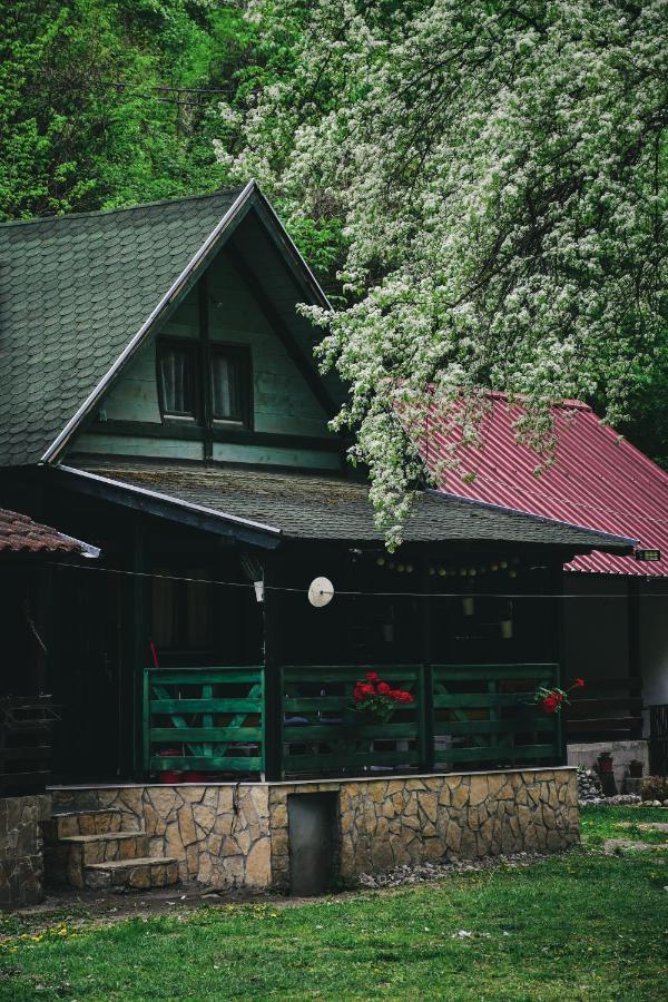 Vikendica,, Tadic,, Ovcar Banja Villa Buitenkant foto
